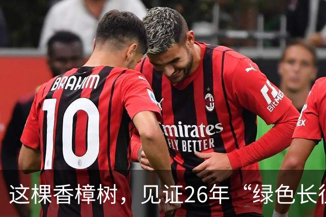 这棵香樟树，见证26年“绿色长征”